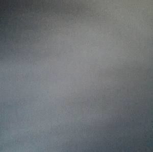 Meet your Posher, Rasc